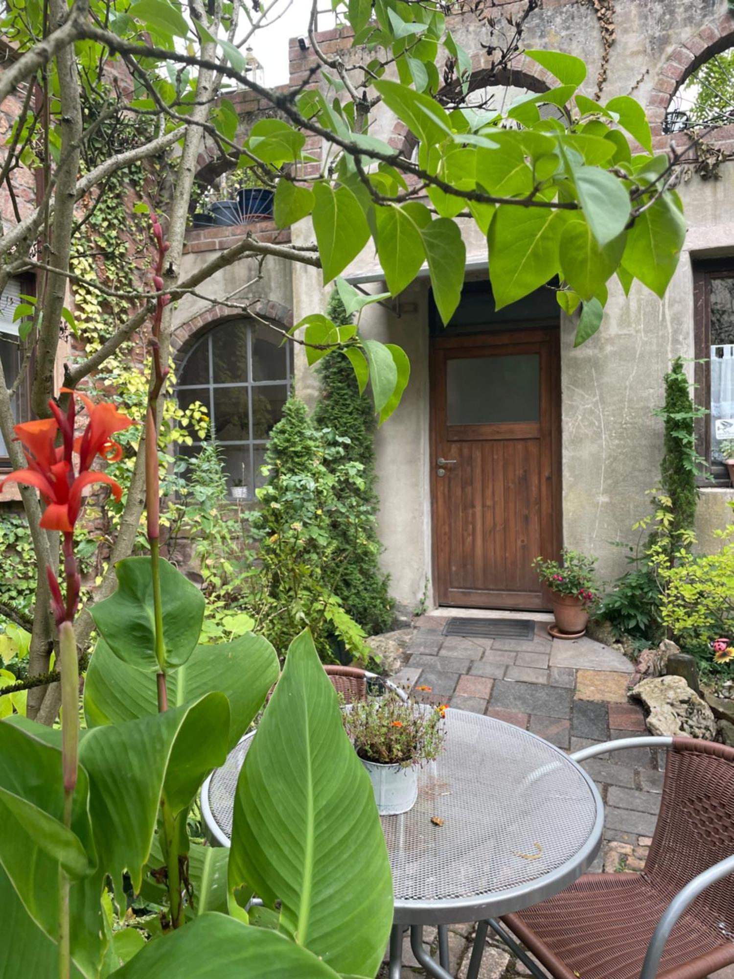 "El Patio" Am Donnersberg Apartment Dannenfels Exterior foto